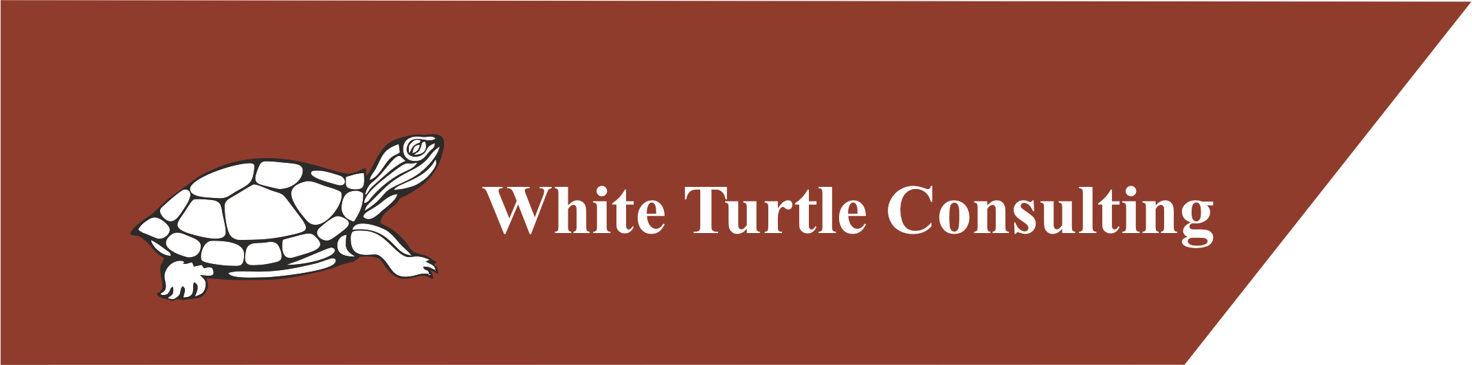 Trutle Consulting